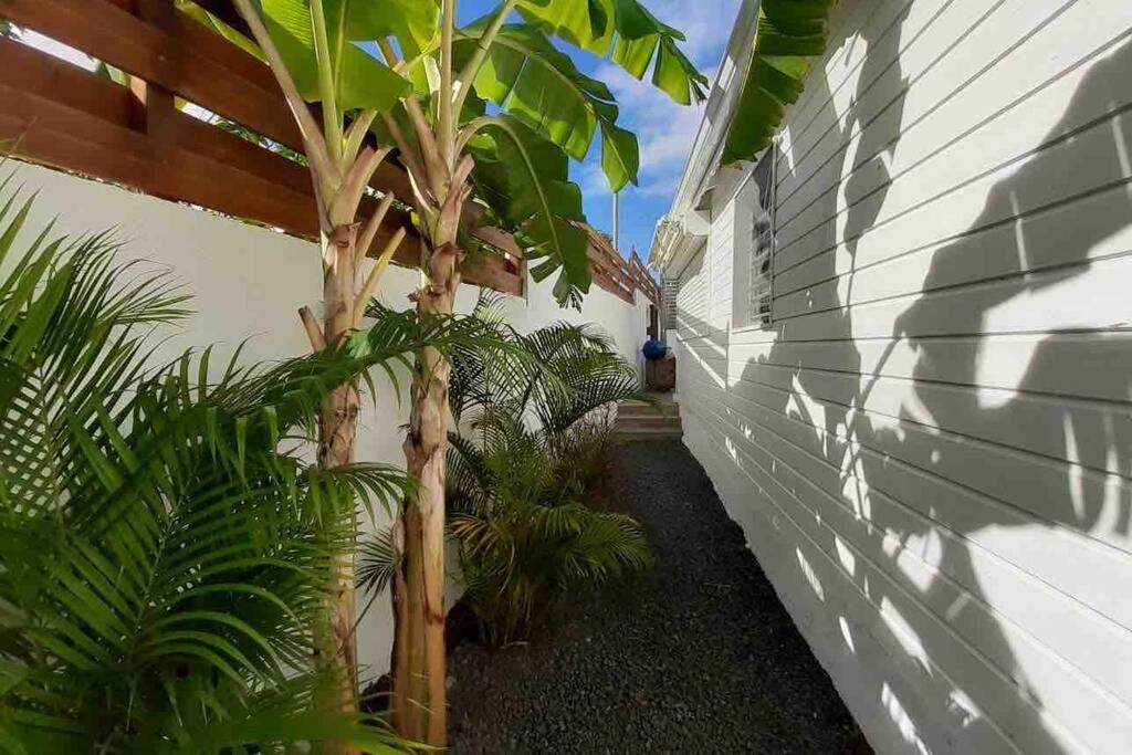 KS VILLA la coulée 4 étoiles Saint-Francois  Esterno foto